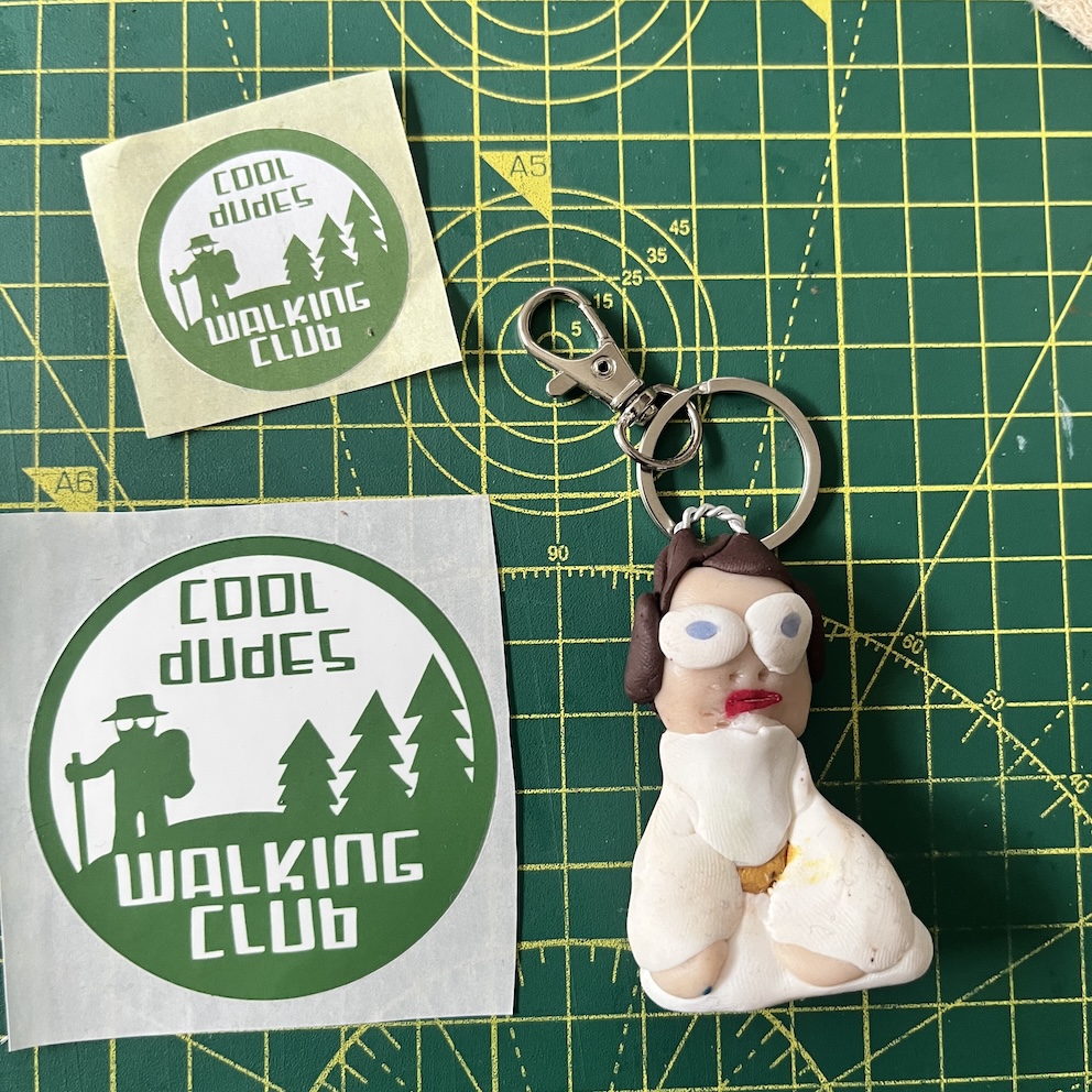 Grumpy Princess Leia Keyring & Stickers (Free P&P UK only)